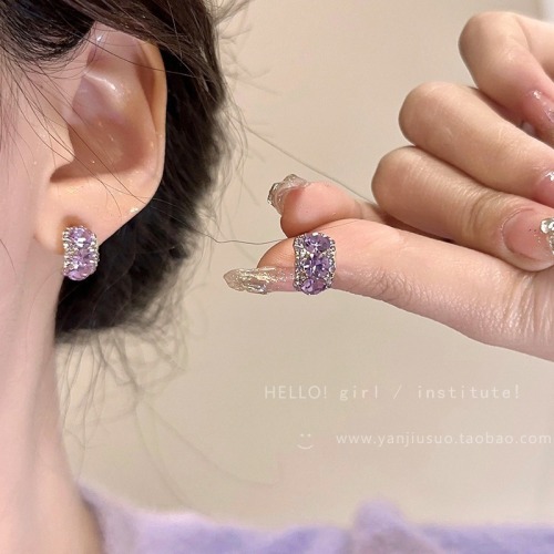 Korean niche exquisite zircon earrings for women, new Western-style earrings, light luxury, high-end, versatile and popular earrings