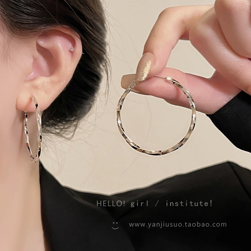 s925 silver needle exaggerated circle earrings, niche design earrings, stud earrings