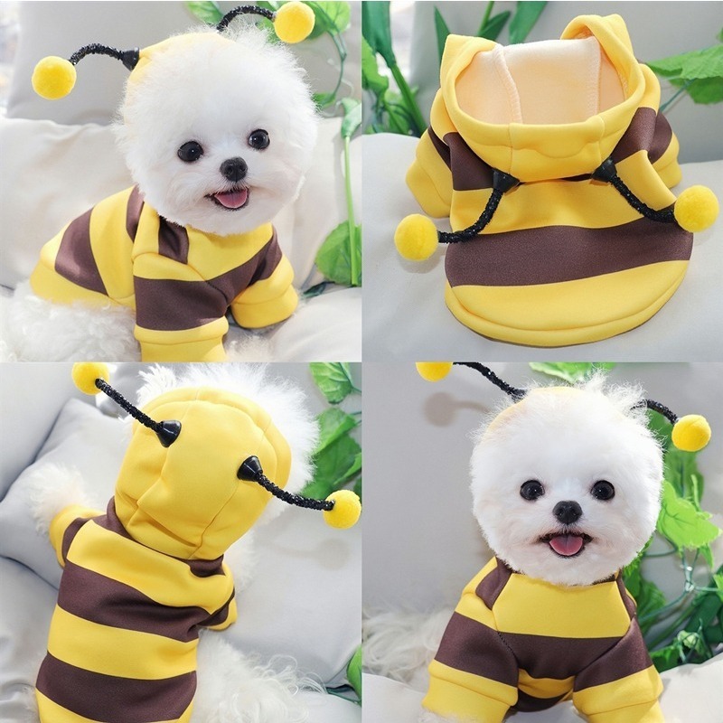 Pet clothes for dogs and cats, autumn and winter warm clothes, Schnauzer Teddy, small dog pet clothes, bee transformation clothes