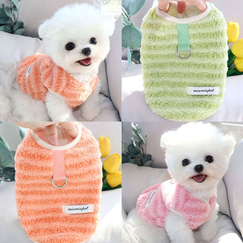Autumn traction pet cotton coat, small dog clothes, small puppy Teddy cat, Bichon Schnauzer, Rachel winter clothes