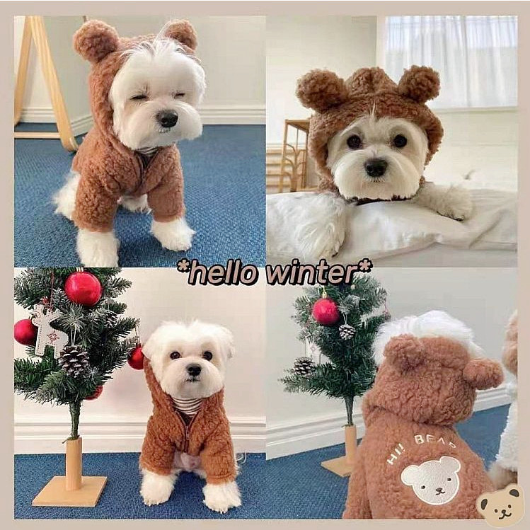Dog clothes, bear transformation outfit, cute dog autumn and winter clothes, cat Bichon Teddy, Yorkshire, winter small dog
