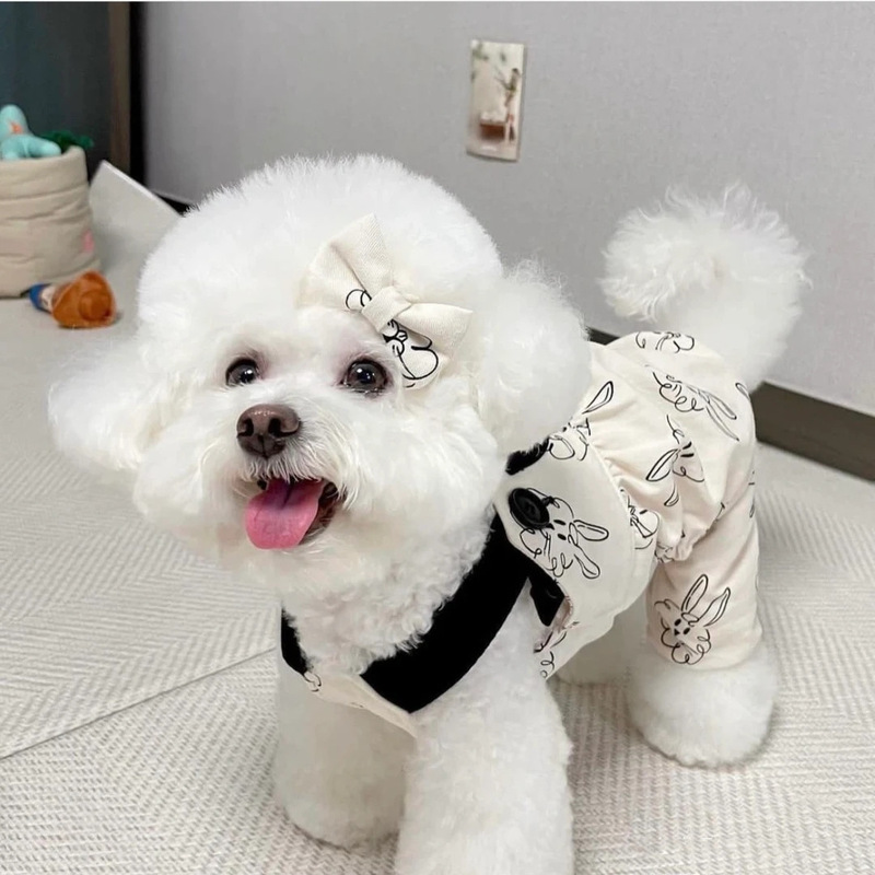 INS Pet Dog Overalls Teddy Bichon Trendy Casual Rabbit Suspender Thin Puppy Couple Outfit