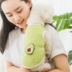 Cool Avocado Satchel Cat Vest Breathable Small Dog Pet Clothing Small Dog Clothes