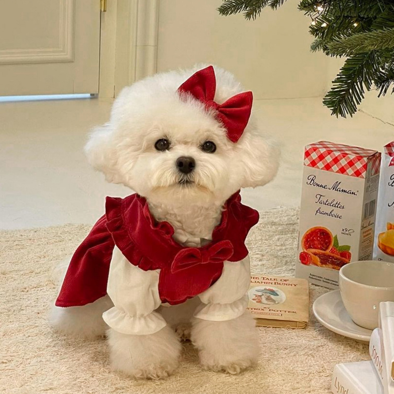 Puppy Princess Dress Autumn and Winter Teddy Bichon Pomeranian Yorkshire Small and Medium Puppy Pet Cat Clothes