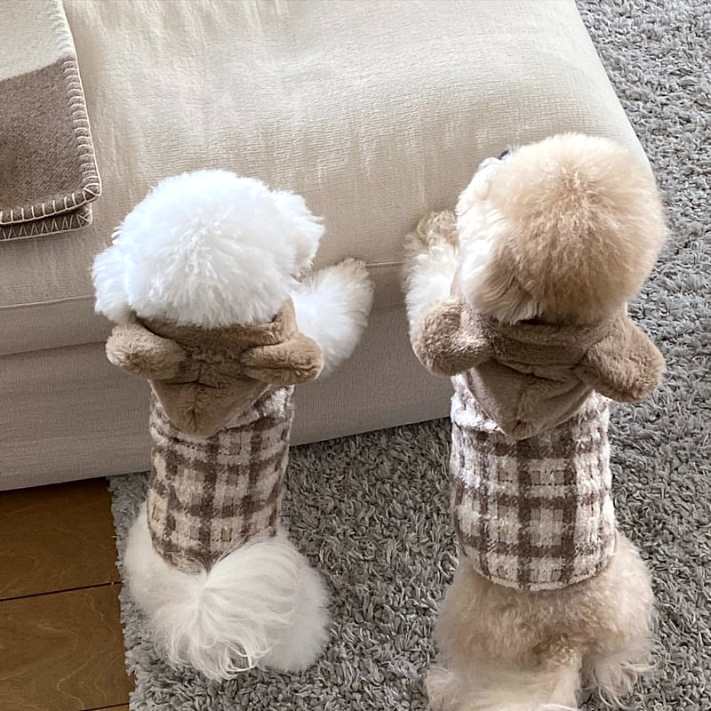 Dog clothes, cotton coats, kittens and cats, Teddy, Bichon, Pomeranian, Schnauzer, Yorkshire terrier, small dogs, autumn and winter clothes.