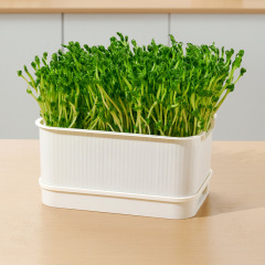 Seedling tray sprout vegetable tray planting germination pot bean sprout artifact yellow mung bean sprout soilless cultivation hydroponic tray