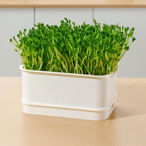 Seedling tray sprout vegetable tray planting germination pot bean sprout artifact yellow mung bean sprout soilless cultivation hydroponic tray