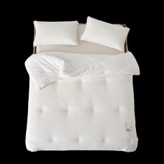 Five-star hotel 80 soy fiber quilt winter quilt core quilt spring and autumn quilt summer cooling quilt air-conditioning quilt