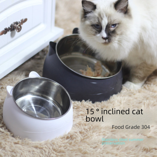 Internet celebrity stainless steel cat bowl and dog bowl, double bowl to protect cervical vertebrae, cat bowl with oblique mouth, popular pet food bowl and cat supplies