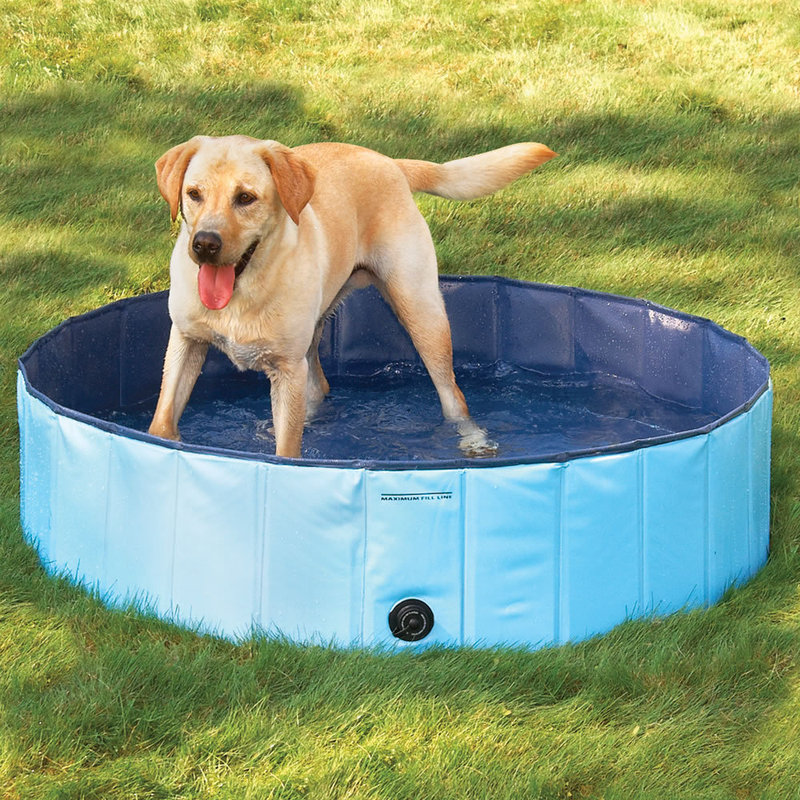 Foldable large dog bathtub pet pool golden retriever swimming pool bathtub cat bathtub baby bathtub