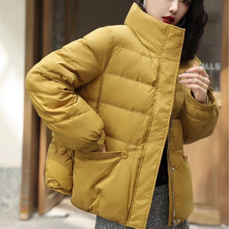 Down jacket for women, loose stand-up collar, fashionable and versatile short style, middle-aged and elderly literary retro winter white duck down warm jacket