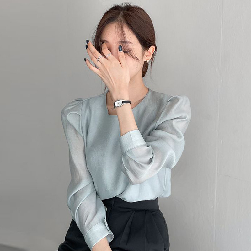 Korean chic early spring fashion simple round neck mesh slightly see-through one-button hollow long-sleeved bottoming shirt top for women