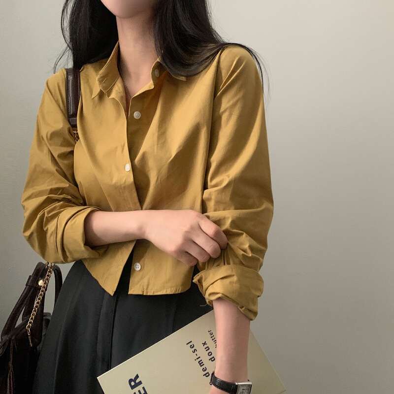 Korean design small basic women's shirt short long-sleeved base shirt 2024 spring and autumn new style