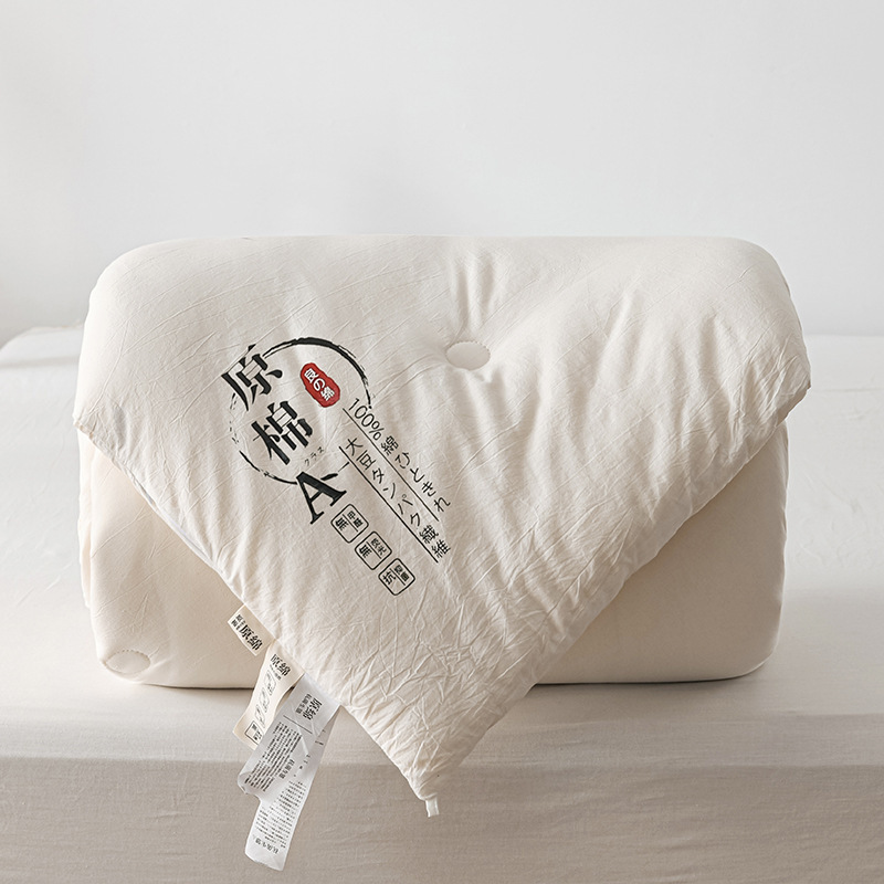 Raw cotton soybean quilt thickened fiber winter quilt core dormitory spring and autumn quilt double warm air-conditioned four-season quilt manufacturer