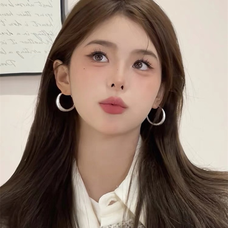 French Hong Kong style s925 silver needle earrings Korean style hoop earrings women's flash sand earrings light luxury high-end autumn and winter earrings