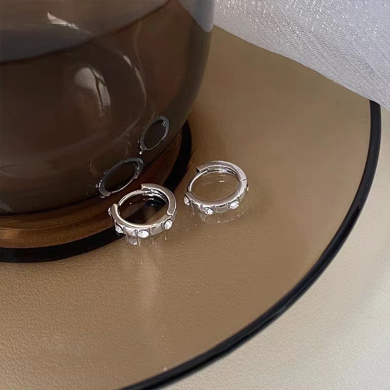 Temperament and high-end zircon earrings summer new fashion niche design earrings earrings earrings earrings for women