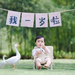 Baby birthday photo props first birthday layout I am one year old banner scene decoration digital birthday flag