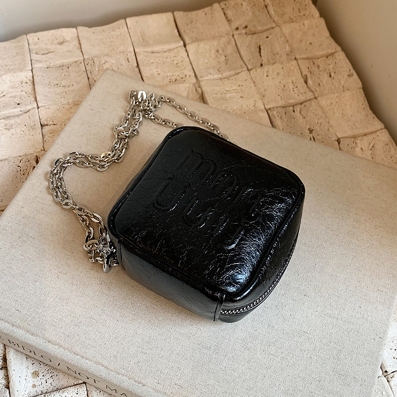 Summer super popular niche bag for women 2024 new versatile chain crossbody bag exquisite mini coin purse small tote bag