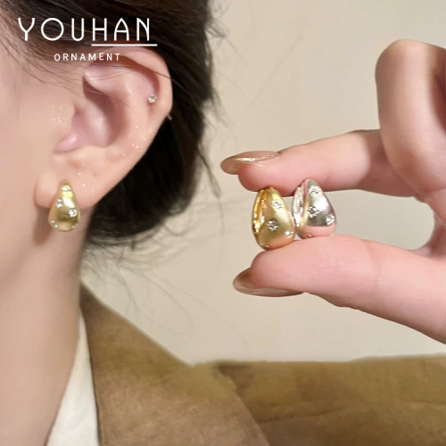 Good Reunion Bai Baihe Xiangqian's same style brushed earrings INS style earrings high-end light luxury star earrings exquisite