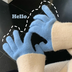 Ins style~Autumn and winter warm women's winter solid color Korean rabbit fur split-finger five-finger gloves trendy chic versatile couple gloves