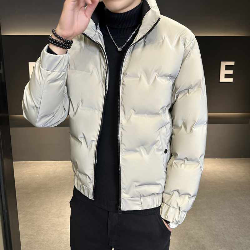 White Duck Down Stand Collar Down Jacket Warm Men's New Winter Men's Jacket