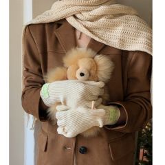 Korean blogger style bow knitted solid color simple versatile warm winter touch screen gloves for women warm and cute