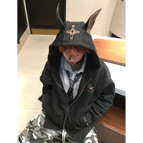 Reckless Doberman hooded sweatshirt men's autumn and winter trendy brand handsome loose couple cardigan jacket