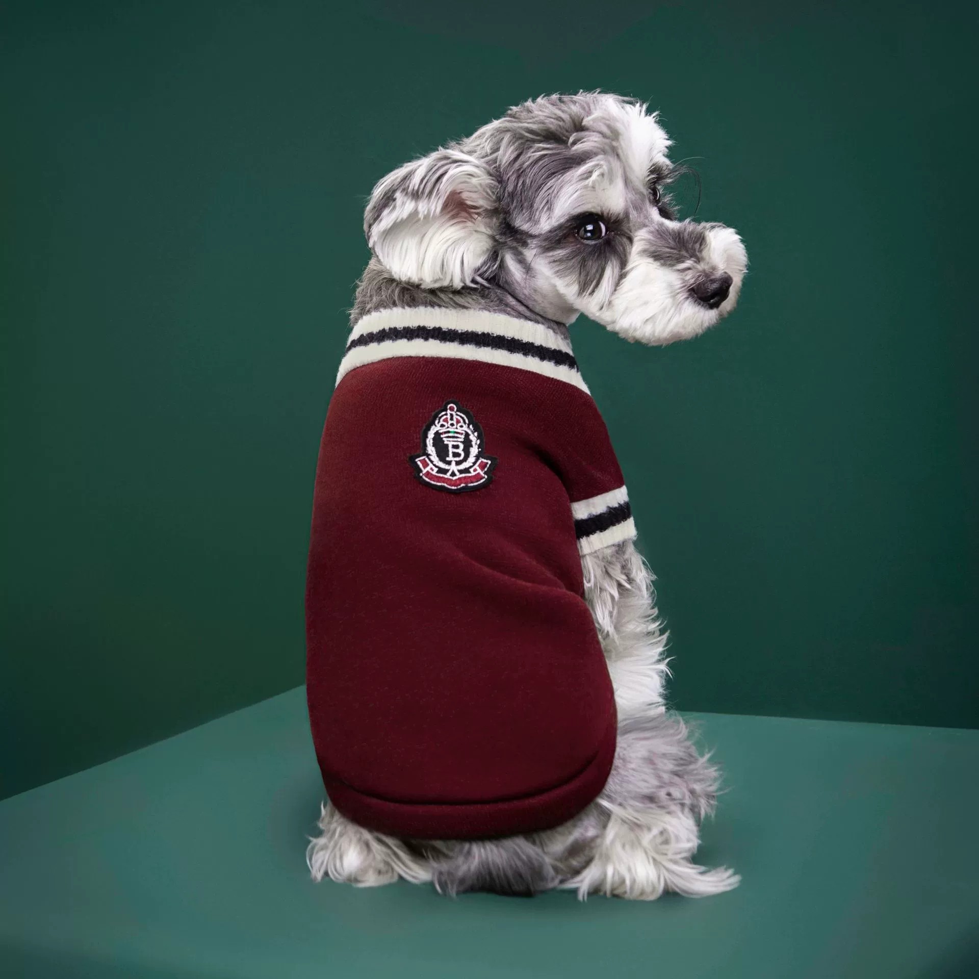 Pet clothes autumn and winter new knitted vest V-neck college style vest Teddy Pomeranian fashion dog clothes