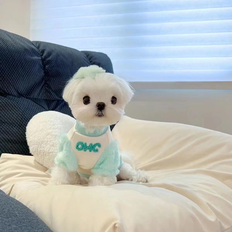 Pet Clothes Cats and Dogs Sweaters Maltese Small Dog Sweaters