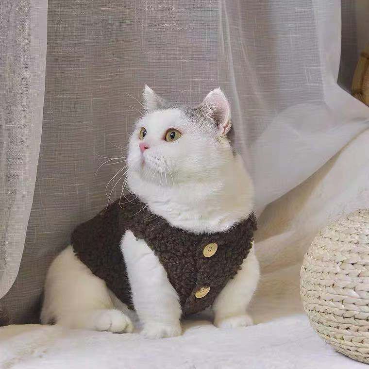 Kitten prevents hair loss in autumn and winter plus velvet lamb velvet cute vest vest ragdoll cat blue cat pet clothes