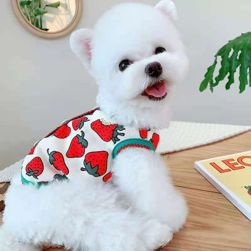 Cute Pets Strawberry Vest for Dogs and Cats Anti-knot Puppy Teddy Puppy Stuff Schnauzer Bichon Clothes