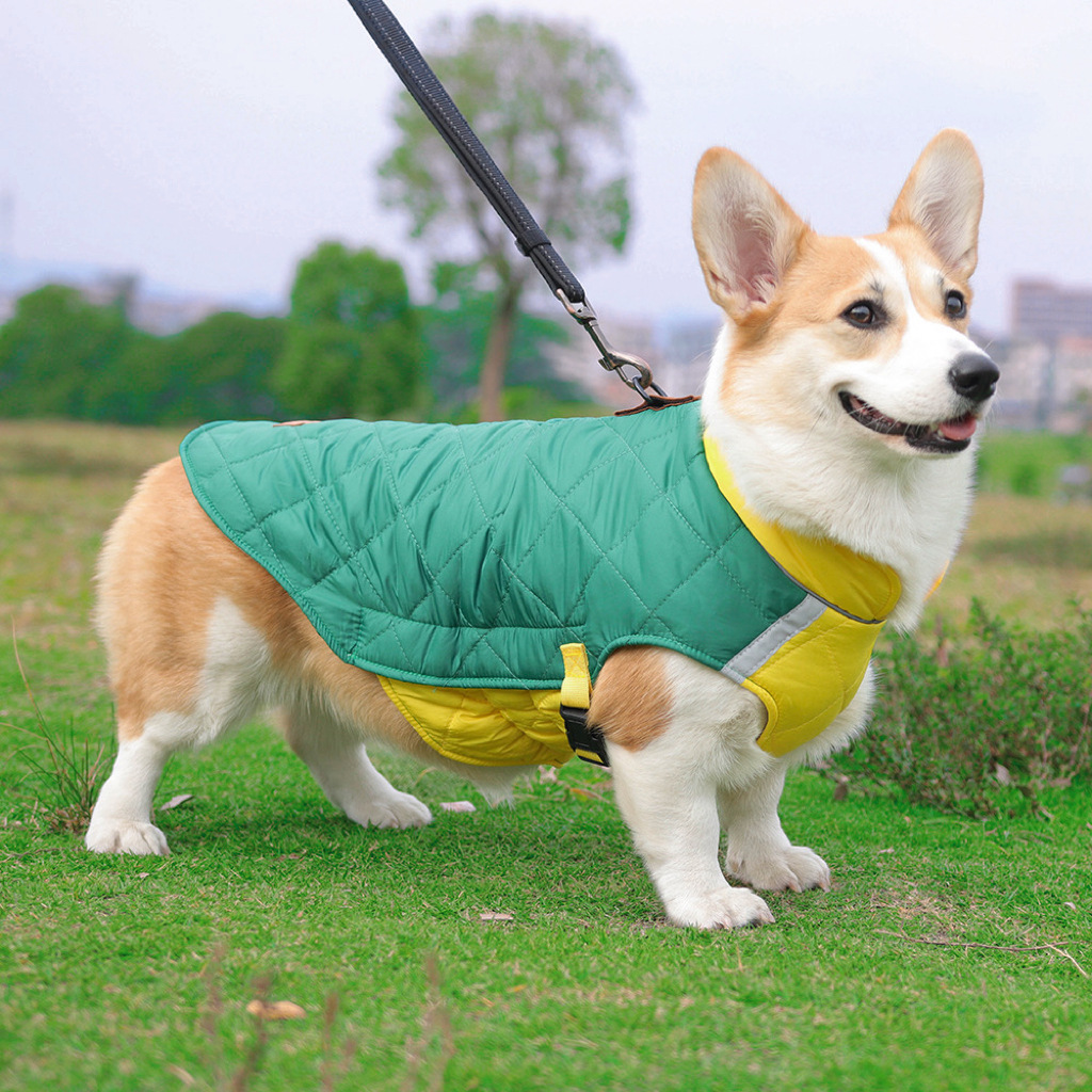 New winter pet dog clothes thickened puppy clothes reflective dog cotton coat pet clothes