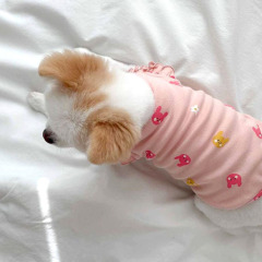 Spring thin cat small flying sleeve vest dog two-legged clothes small and medium-sized dog puppy cat pet clothes