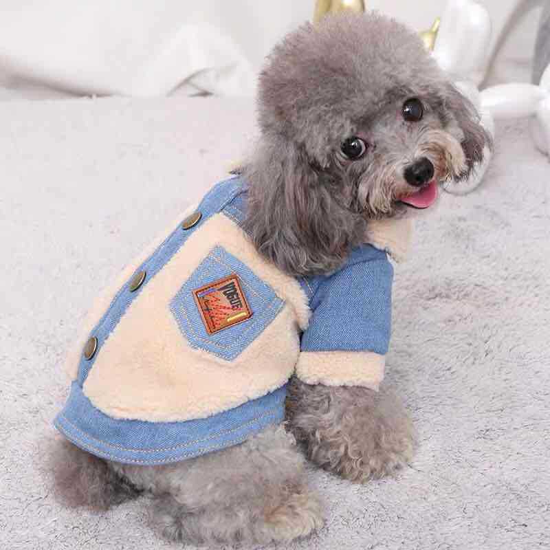 Thickened handsome dog jacket in autumn and winter Teddy Bichon Bear Double Cotton Clothes Cat Two-legged Clothes Warm Pet Clothes