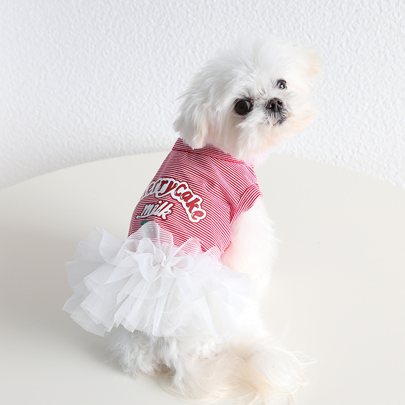 New spring and summer red striped cherry couple outfit cute dog clothes