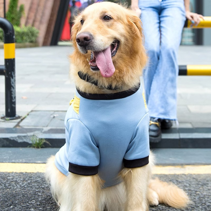 Big dog sweatshirt three-dimensional accessories thin velvet two-legged clothes Golden Retriever Satsuma medium and large dog pet clothes