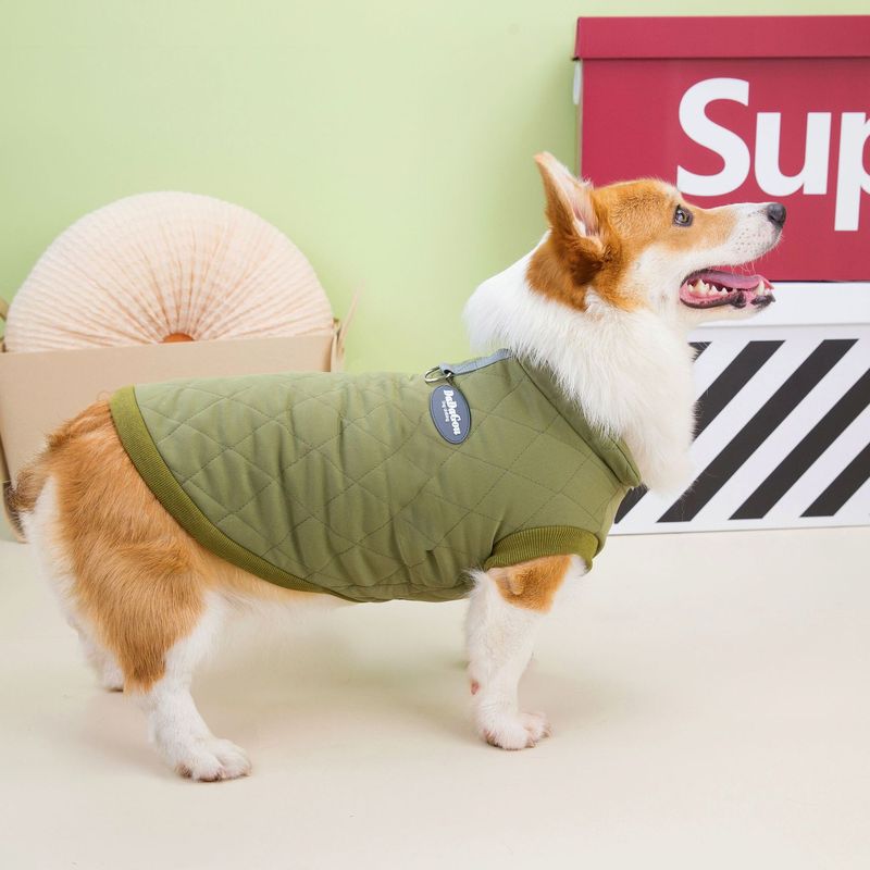 Corgi Dachshund Big Dog Clothes Fall and Winter New Short-legged Dog Pet Clothes