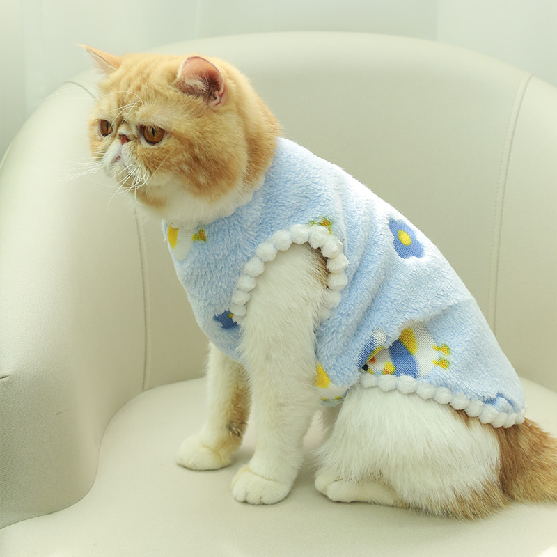 Pet clothes, dogs, cats, plus velvet, thickened cute Teddy Bichon Bear home clothes