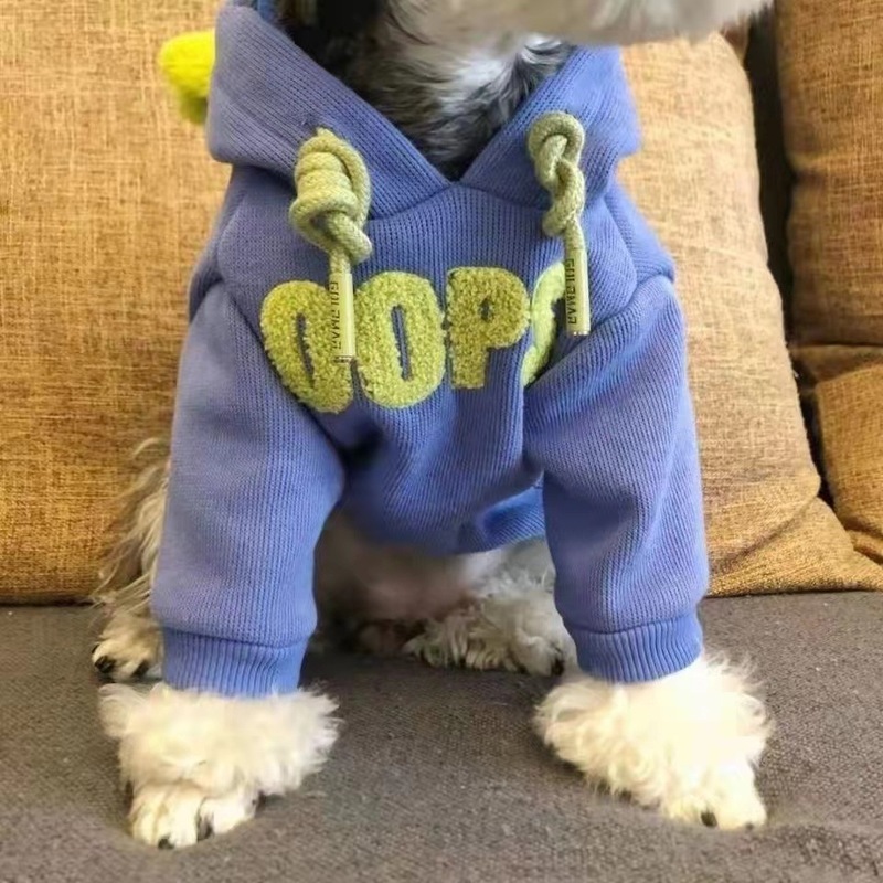 Pet dogs, cats, two feet, winter clothes, warm cute little kitten, British short blue cat, autumn and winter cat clothes