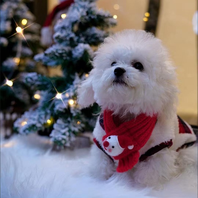 Christmas pet clothes cat clothes autumn and winter two feet vest dog New Year clothes scarves
