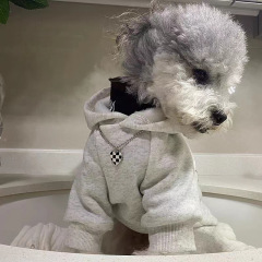 Pet trendy brand plus velvet sweatshirt schnauzer Teddy Bichon Bear Retro Hoodie Puppy Dog Clothes