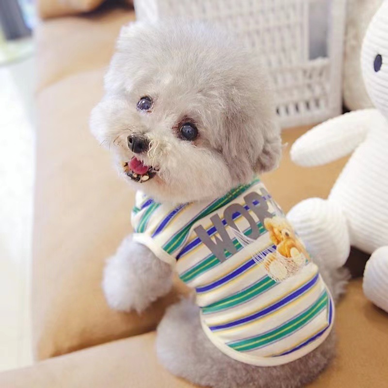 Pet swing bear vest dog cat clothes