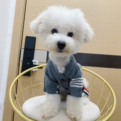 Pet sweater Teddy Pomeranian panda autumn and winter trendy cardigan knitted clothes two feet