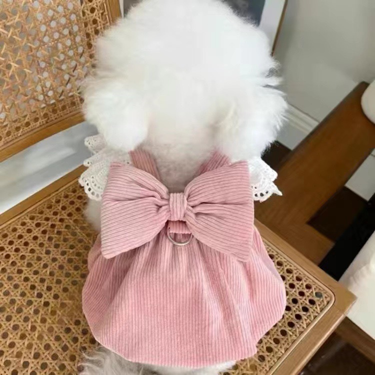 Pet Clothes Autumn and Winter New Corduroy Pumpkin Skirt Traction Buckle Teddy Bichon Bear Dog Cat Warm Lace Skirt
