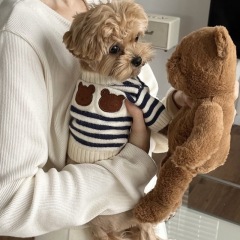 ins Korean warm pet knitted sweater thickened small and medium size dog dog cat teddy