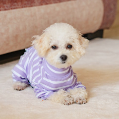 One-piece four-legged dog clothes for belly protection, dirty and anti-licking one-piece pet clothes