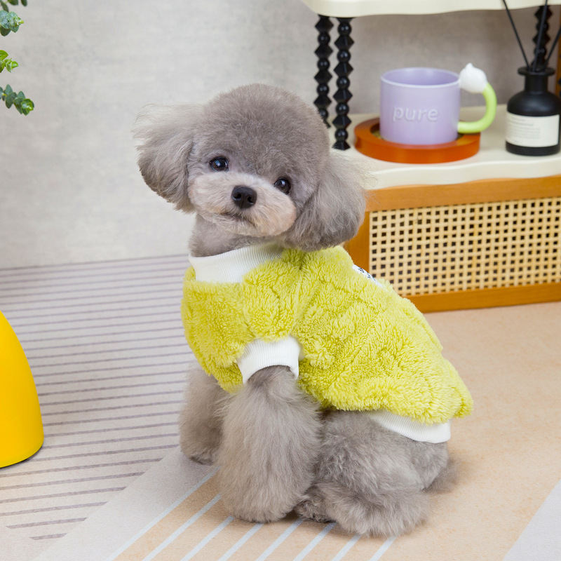 Pet dog clothes pet two-legged velvet clothes simple style two-legged velvet clothes
