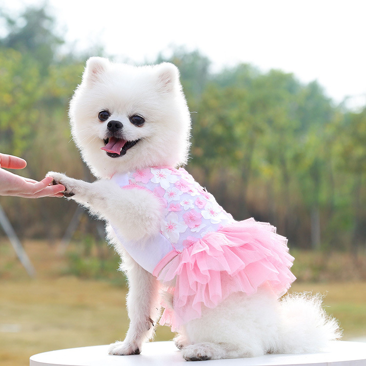 Peach Blossom Skirts for Dogs and Cats