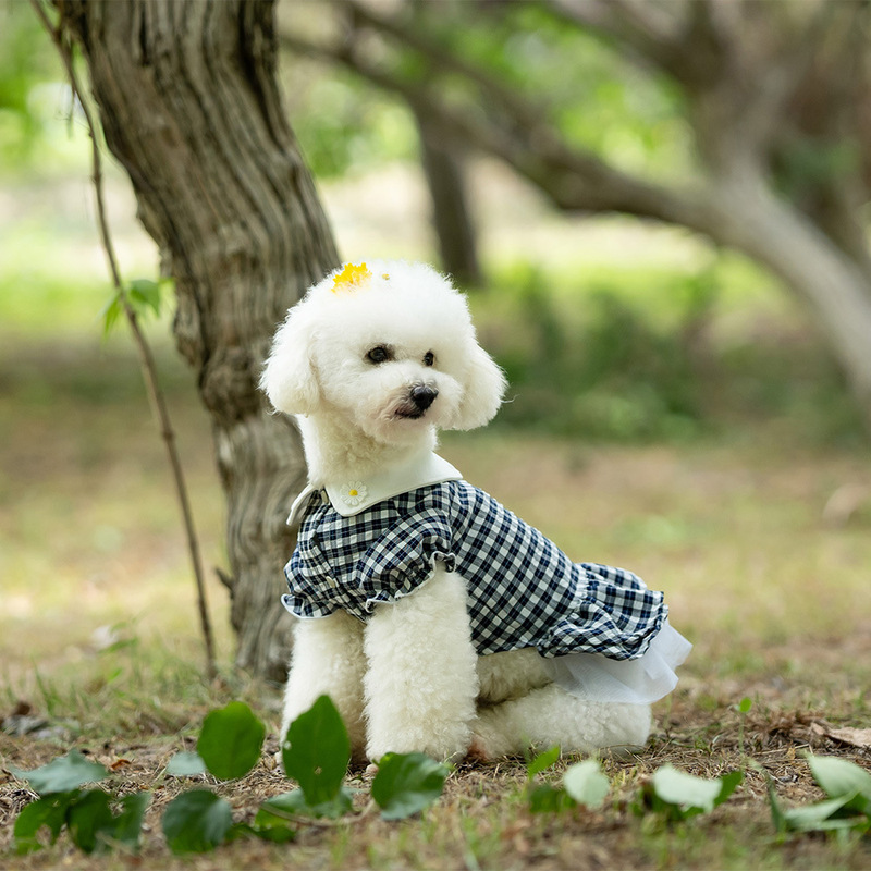 Summer pet skirt cat puppy clothes cute plaid skirt