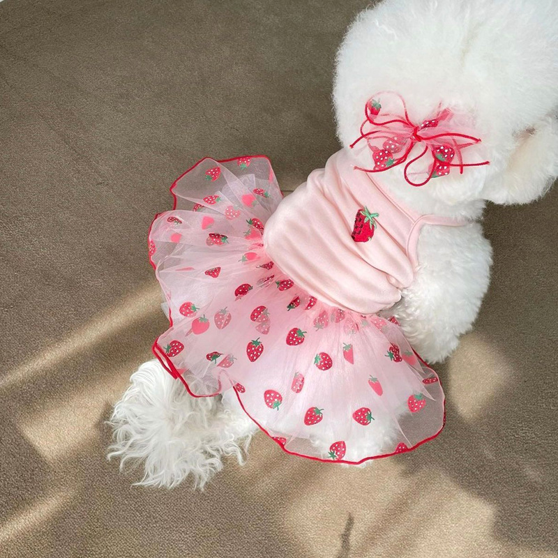 Summer thin pet gauze skirt Pomeranian Bichon Teddy Yorkshire Schnauzer small dog dog clothes wholesale